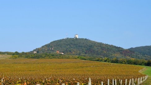 REPROGRAM ZA TURIZAM: Fond za razvoj Srbije odobrio obaveze na 24 meseca REPROGRAM ZA TURIZAM: Fond za razvoj Srbije odobrio obaveze na 24 meseca