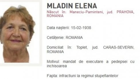 ЕЛЕНА (82) КРИЈУМЧАРИЛА ДРОГУ У САРМИ: Најстарија особа са полицијске потернице држала два килограма марихуане у лонцу ЕЛЕНА (82) КРИЈУМЧАРИЛА ДРОГУ У САРМИ: Најстарија особа са полицијске потернице држала два килограма марихуане у лонцу