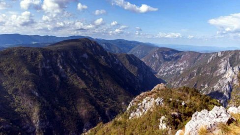 TARA, ČUVARKA OMORIKE, TURIZMA I NETAKNUTE PRIRODE: Proteklo 150 godina od Pančićevog otkrića
