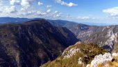 TARA, ČUVARKA OMORIKE, TURIZMA I NETAKNUTE PRIRODE: Proteklo 150 godina od Pančićevog otkrića