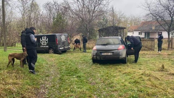 ОД ЧЕДЕ ШИНТЕРА СПАСЕН 21 ПАС: Ево шта се сада дешава са животињама које је малтретирао ОД ЧЕДЕ ШИНТЕРА СПАСЕН 21 ПАС: Ево шта се сада дешава са животињама које је малтретирао