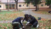 ПОМОЋ ОСОБАМА СА ИНВАЛИДИТЕТОМ У НЕГОТИНУ: Садњом бреза обележили успешну сарадњу ПОМОЋ ОСОБАМА СА ИНВАЛИДИТЕТОМ У НЕГОТИНУ: Садњом бреза обележили успешну сарадњу