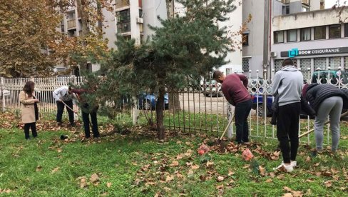 САДНИЦЕ НА ПОКЛОН Дрвеће засађено у осам школских дворишта у Смедереву САДНИЦЕ НА ПОКЛОН Дрвеће засађено у осам школских дворишта у Смедереву