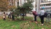 САДНИЦЕ НА ПОКЛОН Дрвеће засађено у осам школских дворишта у Смедереву САДНИЦЕ НА ПОКЛОН Дрвеће засађено у осам школских дворишта у Смедереву