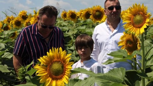 ОСКАР БЕЗ ПРАВИЛА И КОМИСИЈЕ: Недоумице у вези са начином избора српског кандидата за престижну награду америчке филмске академије ОСКАР БЕЗ ПРАВИЛА И КОМИСИЈЕ: Недоумице у вези са начином избора српског кандидата за престижну награду америчке филмске академије