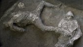 КО СУ БИЛИ СТАНОВНИЦИ ПОМПЕЈЕ: Ново истраживање и ДНК анализе мења историјску слику КО СУ БИЛИ СТАНОВНИЦИ ПОМПЕЈЕ: Ново истраживање и ДНК анализе мења историјску слику