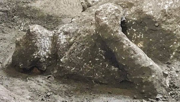 ТАЈНА СТАКЛЕНОГ МОЗГА ИЗ ХЕРКУЛАНЕУМА: Наука на трагу одговора како је мозак мушкарца претворен у стакло током ерупције Везува ТАЈНА СТАКЛЕНОГ МОЗГА ИЗ ХЕРКУЛАНЕУМА: Наука на трагу одговора како је мозак мушкарца претворен у стакло током ерупције Везува
