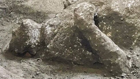 TAJNA STAKLENOG MOZGA IZ HERKULANEUMA: Nauka na tragu odgovora kako je mozak muškarca pretvoren u staklo tokom erupcije Vezuva TAJNA STAKLENOG MOZGA IZ HERKULANEUMA: Nauka na tragu odgovora kako je mozak muškarca pretvoren u staklo tokom erupcije Vezuva