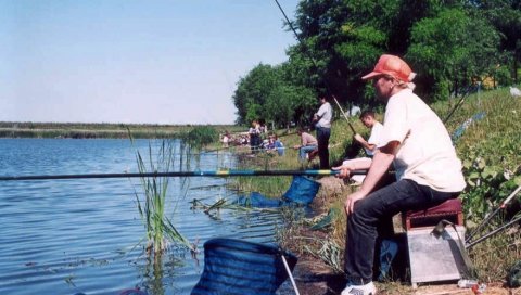 ВОДЕ СВЕ МАЊЕ, РИБА ИЗУМИРЕ: Алармантна ситуација на риболовачком језеру у Чонопљи, надомак Сомбора ВОДЕ СВЕ МАЊЕ, РИБА ИЗУМИРЕ: Алармантна ситуација на риболовачком језеру у Чонопљи, надомак Сомбора