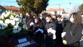 БОЈАН ЗЛАТАНОВИЋ САХРАЊЕН УЗ ЗВУКЕ БУБЊЕВА: Јецаји мајке одзвањали гробљем, Аца Амадеус одржао потресан говор (ФОТО/ВИДЕО) БОЈАН ЗЛАТАНОВИЋ САХРАЊЕН УЗ ЗВУКЕ БУБЊЕВА: Јецаји мајке одзвањали гробљем, Аца Амадеус одржао потресан говор (ФОТО/ВИДЕО)