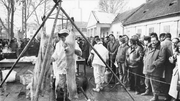 ПРАЗНИК МИРИСАО НА ЧВАРКЕ И САРМЕ: Овако се СФРЈ обележавао 29. новембар (ФОТО) ПРАЗНИК МИРИСАО НА ЧВАРКЕ И САРМЕ: Овако се СФРЈ обележавао 29. новембар (ФОТО)