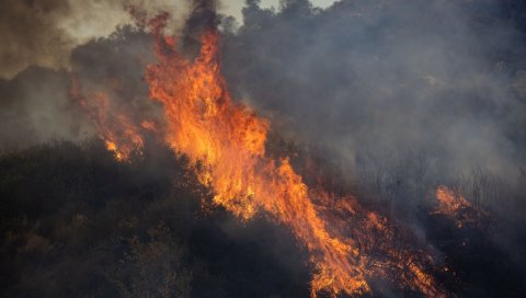 ПОЖАР У БЛИЗИНИ МАНАСТИРА СОПОЋАНИ: Ватра локалозована - сумња се да је подметнут ПОЖАР У БЛИЗИНИ МАНАСТИРА СОПОЋАНИ: Ватра локалозована - сумња се да је подметнут