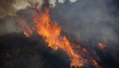 ИСПАЛИЛИ ВАТРОМЕТ, ПА ЗАПАЛИЛИ ШУМУ: Драма на острву, полиција ухапсила 13 особа (ФОТО) ИСПАЛИЛИ ВАТРОМЕТ, ПА ЗАПАЛИЛИ ШУМУ: Драма на острву, полиција ухапсила 13 особа (ФОТО)
