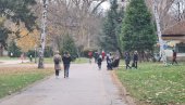 МИСТЕРИОЗНИ ЖБУН У БЕОГРАДУ: Откривено место где џепароши бацају украдене новчанике МИСТЕРИОЗНИ ЖБУН У БЕОГРАДУ: Откривено место где џепароши бацају украдене новчанике