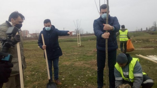 АКЦИЈА ЗЕЛЕНА СРБИЈА: Градоначелник и председник скупштине посадили саднице јасена АКЦИЈА ЗЕЛЕНА СРБИЈА: Градоначелник и председник скупштине посадили саднице јасена