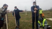 АКЦИЈА ЗЕЛЕНА СРБИЈА: Градоначелник и председник скупштине посадили саднице јасена АКЦИЈА ЗЕЛЕНА СРБИЈА: Градоначелник и председник скупштине посадили саднице јасена
