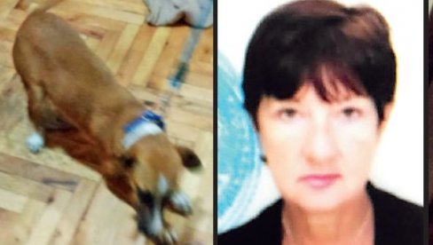 MAMA JE NAŠLA TARU, A ONDA JE NAIŠAO KAMION: Pritvor vozaču iz Niša - ćerka Jelena ne može da poveruje šta je snašlo majku Vericu MAMA JE NAŠLA TARU, A ONDA JE NAIŠAO KAMION: Pritvor vozaču iz Niša - ćerka Jelena ne može da poveruje šta je snašlo majku Vericu