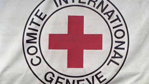АКЦИЈА ЦРВЕНОГ КРСТА: 100 садница за 10.003 људи несталих током сукоба у бившој СФРЈ АКЦИЈА ЦРВЕНОГ КРСТА: 100 садница за 10.003 људи несталих током сукоба у бившој СФРЈ