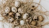 ПРОДАЈА ПРЕПЕЛИЧЈИХ ЈАЈА ПОРАСЛА 300 ОДСТО: Драстичан скок куповине ове намирнице ПРОДАЈА ПРЕПЕЛИЧЈИХ ЈАЈА ПОРАСЛА 300 ОДСТО: Драстичан скок куповине ове намирнице