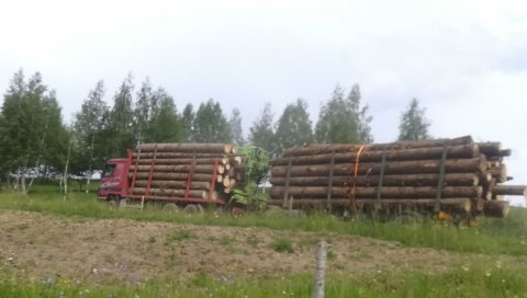 ЗАУСТАВИТЕ СЕЧУ ШУМА! Напетост у Калудри, код Берана, после напада концесионара шума на челнике МЗ ЗАУСТАВИТЕ СЕЧУ ШУМА! Напетост у Калудри, код Берана, после напада концесионара шума на челнике МЗ