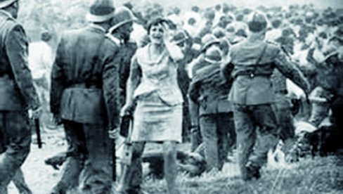SUSRET BLISKE VRSTE KOD PODVOŽNJAKA: Bunt akademaca Beogradskog univerziteta 1968. izneo je na videlo dana mnoge prikrivene nevolje društva SUSRET BLISKE VRSTE KOD PODVOŽNJAKA: Bunt akademaca Beogradskog univerziteta 1968. izneo je na videlo dana mnoge prikrivene nevolje društva