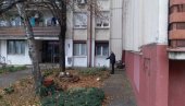 KAČILA UKRASE I PALA SA PROZORA: Evo u kakvom je stanju devojčica (12) iz Kragujevca (FOTO)