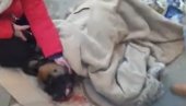 (УЗНЕМИРУЈУЋИ ВИДЕО) ЈЕЗИВИ СНИМАК НАСИЉА: Напио се, па бацио керушу са четвртог спрата (УЗНЕМИРУЈУЋИ ВИДЕО) ЈЕЗИВИ СНИМАК НАСИЉА: Напио се, па бацио керушу са четвртог спрата