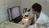 У СРБИЈИ НЕМА ПТИЧИЈЕГ ГРИПА: Спроводи се план праћења и сузбијања ове болести У СРБИЈИ НЕМА ПТИЧИЈЕГ ГРИПА: Спроводи се план праћења и сузбијања ове болести