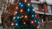 ПОЗИВ ЦЕНТРА ЗА КУЛТУРУ КУЧЕВО: Грађани учествују у украшавању новогодишње јелке ПОЗИВ ЦЕНТРА ЗА КУЛТУРУ КУЧЕВО: Грађани учествују у украшавању новогодишње јелке
