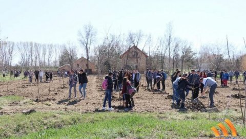 СЕЧАЊ САДИ СВОЈЕ ДРВО: Припреме су завршене, следеће године креће пошумљавање општине СЕЧАЊ САДИ СВОЈЕ ДРВО: Припреме су завршене, следеће године креће пошумљавање општине