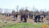 SEČANJ SADI SVOJE DRVO: Pripreme su završene, sledeće godine kreće pošumljavanje opštine SEČANJ SADI SVOJE DRVO: Pripreme su završene, sledeće godine kreće pošumljavanje opštine