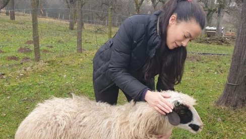 ГЛУМИЦА ДОБИЛА НЕОЧЕКИВАН ПОКЛОН: Марија Петронијевић позирала са овцом, пљуште похвалe (ФОТО) ГЛУМИЦА ДОБИЛА НЕОЧЕКИВАН ПОКЛОН: Марија Петронијевић позирала са овцом, пљуште похвалe (ФОТО)