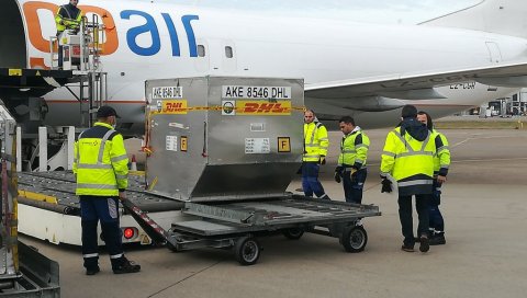 СТИГЛО ЈОШ ВАКЦИНА У СРБИЈУ: 9.360 доза Фајзера слетело у Београд СТИГЛО ЈОШ ВАКЦИНА У СРБИЈУ: 9.360 доза Фајзера слетело у Београд