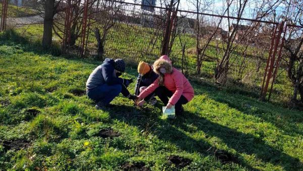 ВРШАЧКИ ОСНОВЦИ САДИЛИ ДРВЕЋЕ: Ученици ОШ „Паја Јовановић“ прикључили се акцији „Посади свој хлад“ ВРШАЧКИ ОСНОВЦИ САДИЛИ ДРВЕЋЕ: Ученици ОШ „Паја Јовановић“ прикључили се акцији „Посади свој хлад“