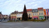 POŽAREVAC PRAZNIČNO UKRAŠEN: Montirana novogodišnja jelka od 9,5 metara POŽAREVAC PRAZNIČNO UKRAŠEN: Montirana novogodišnja jelka od 9,5 metara