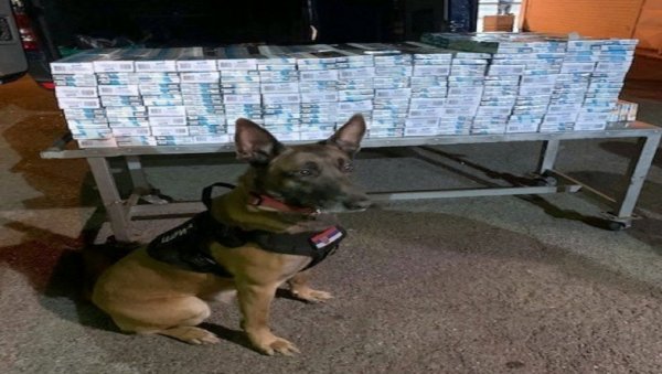 НЕРОН ОПЕТ НЕПОГРЕШИВ: Захваљујући царинском псу откривен покушај шверца цигарета НЕРОН ОПЕТ НЕПОГРЕШИВ: Захваљујући царинском псу откривен покушај шверца цигарета