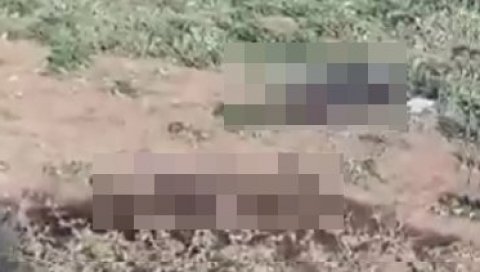 (УЗНЕМИРУЈУЋИ ВИДЕО) ТЕЛА ЈЕРМЕНСКИХ БОРАЦА ТРУЛЕ У КАРАБАХУ: Оно што се чује у позадини је ужасавајуће (УЗНЕМИРУЈУЋИ ВИДЕО) ТЕЛА ЈЕРМЕНСКИХ БОРАЦА ТРУЛЕ У КАРАБАХУ: Оно што се чује у позадини је ужасавајуће