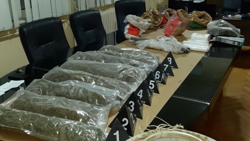 ДРОГА САКРИВЕНА У ВИНОГРАДУ: Припадници крушевачке полиције запленили 15 килограма марихуане (ФОТО) ДРОГА САКРИВЕНА У ВИНОГРАДУ: Припадници крушевачке полиције запленили 15 килограма марихуане (ФОТО)