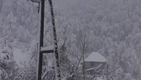 РАВНА ГОРА БЕЗ СТРУЈЕ 40 САТИ: Непроходан пут до споменика генералу Михајловићи РАВНА ГОРА БЕЗ СТРУЈЕ 40 САТИ: Непроходан пут до споменика генералу Михајловићи