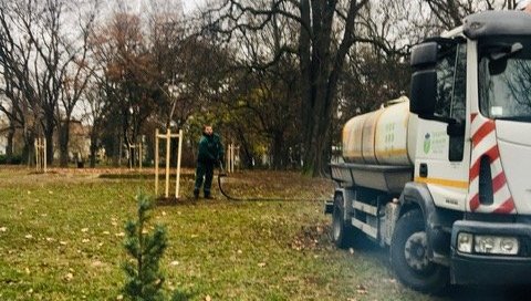 ЈКП „ГРАДСКО ЗЕЛЕНИЛО“ ДОДАТНО ЗАШТИТИЛО „ФУТОШКИ ПАРК“: Парк обогаћен садњом 113 стабала ЈКП „ГРАДСКО ЗЕЛЕНИЛО“ ДОДАТНО ЗАШТИТИЛО „ФУТОШКИ ПАРК“: Парк обогаћен садњом 113 стабала