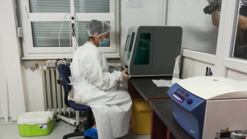 REGISTROVANO 14 SLUČAJEVA MIŠJE GROZNICE OD POČETKA GODINE: Najviše slučajeva u ovom delu Srbije REGISTROVANO 14 SLUČAJEVA MIŠJE GROZNICE OD POČETKA GODINE: Najviše slučajeva u ovom delu Srbije