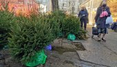 JELKE SA BUSENOM I DO 5.000 DINARA: Iako je do Nove godine ostalo samo još dva dana novogodišnja stabla se i dalje prodaju