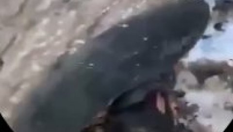 (УЗНЕМИРУЈУЋИ ВИДЕО) НЕМИЛОСРДНИ АЗЕРСКИ ВОЈНИЦИ: Заробили јерменског борца, а оно што су онда урадили је ужасавајуће (УЗНЕМИРУЈУЋИ ВИДЕО) НЕМИЛОСРДНИ АЗЕРСКИ ВОЈНИЦИ: Заробили јерменског борца, а оно што су онда урадили је ужасавајуће