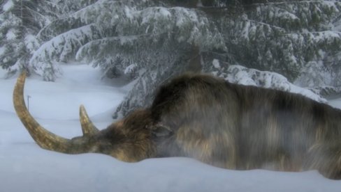 TRAŽILI ZLATO, PA PRONAŠLI OSTATKE ZVERI STARE 10 HILJADA GODINA: Šok rudara na istoku Rusije (FOTO) TRAŽILI ZLATO, PA PRONAŠLI OSTATKE ZVERI STARE 10 HILJADA GODINA: Šok rudara na istoku Rusije (FOTO)