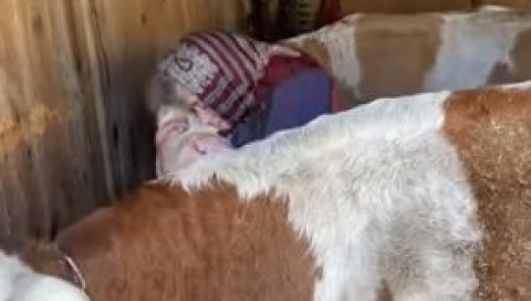 СРЦЕПАРАЈУЋИ СНИМАК: Погледајте зашто људи са Баније не иду у привремени смештај, већ спавају у дворишту (ВИДЕО) СРЦЕПАРАЈУЋИ СНИМАК: Погледајте зашто људи са Баније не иду у привремени смештај, већ спавају у дворишту (ВИДЕО)