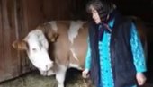 TUGA U MAJSKIM POLJANAMA: Baka Milica se više ne boji, jer nema šta da izgubi (VIDEO) TUGA U MAJSKIM POLJANAMA: Baka Milica se više ne boji, jer nema šta da izgubi (VIDEO)