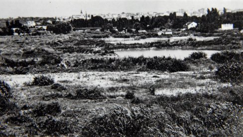 SLIKE SA LEVE OBALE SAVE: Kako je nekada izgledao Beograd preko mosta (FOTO) SLIKE SA LEVE OBALE SAVE: Kako je nekada izgledao Beograd preko mosta (FOTO)