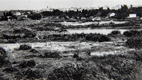 SLIKE SA LEVE OBALE SAVE: Kako je nekada izgledao Beograd preko mosta (FOTO)