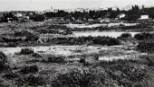 SLIKE SA LEVE OBALE SAVE: Kako je nekada izgledao Beograd preko mosta (FOTO) SLIKE SA LEVE OBALE SAVE: Kako je nekada izgledao Beograd preko mosta (FOTO)