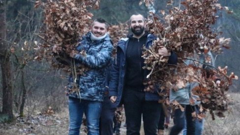 SUBOTIČANI U GRUPAMA IŠLI U SEČU BADNJAKA: Vera i običaji se čuvaju bez obzira na okolnosti SUBOTIČANI U GRUPAMA IŠLI U SEČU BADNJAKA: Vera i običaji se čuvaju bez obzira na okolnosti